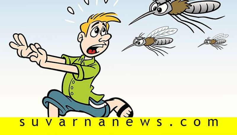 Home to dangerous insects that currenlty plague to India