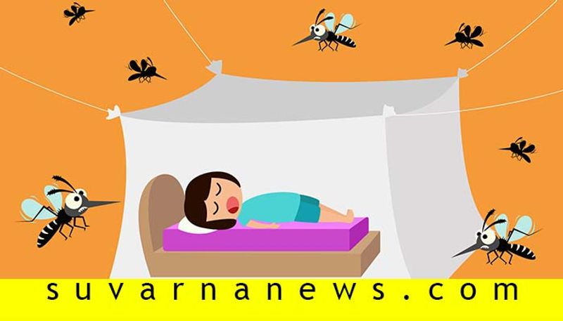 Dengue mosquitoes active during night as in day stay alert