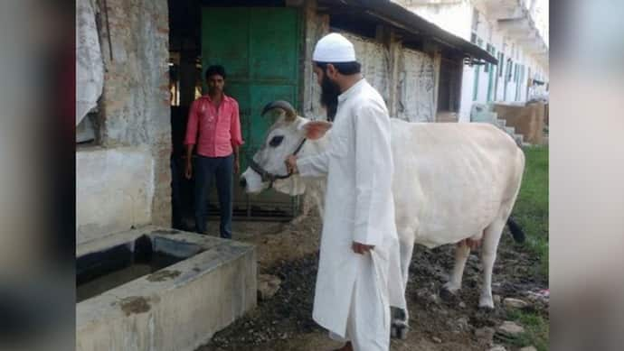 इस मदरसे में पूजी जाती है गाय माता