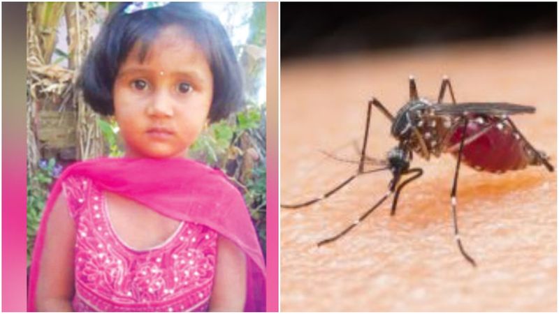 school in vellore was fined 1 lakh as lkg student died due to dengue fever