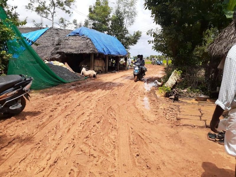 snake bitten women died as she cannot reach hospital in time due to bad road structure