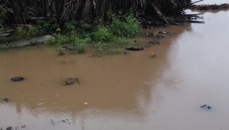 Heavy Rain Lashes In Chikkamagaluru