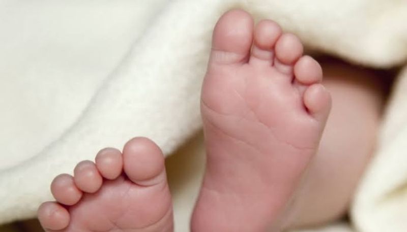 Maharashtra Woman Gives Birth To 17th Child In 20th Pregnancy Baby Dies