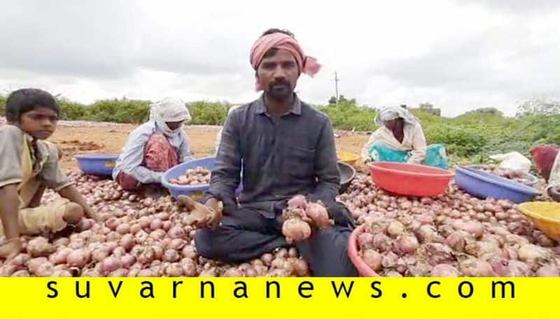 Karnataka Rain Onion Crops Destroyed in Mudhol