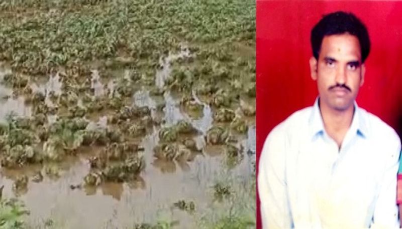 Farmer Commits suicide after onion crop destruction for Heavy Rain