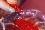 Here are the top 5 health benefits of saffron