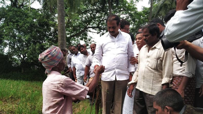 minister kannababu inspected Damaged Crops Due to Heavy Rains