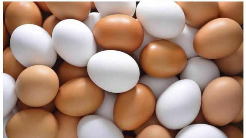 what are the difference between brown and white eggs