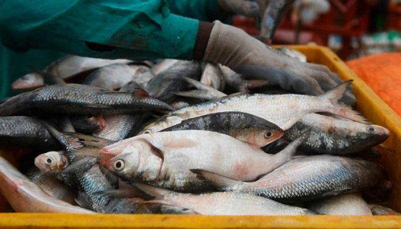 Boycott Fish Purchase due to Opposed to Cow Slaughter in Udupi  grg