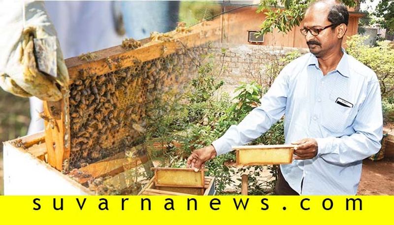 bellary farmer aravind earns lakh in Beekeeping