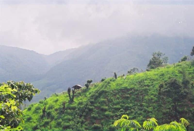 Travelogue to Silent Valley Forest