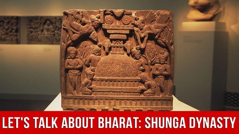 Lets Talk About Bharat Shunga Dynasty