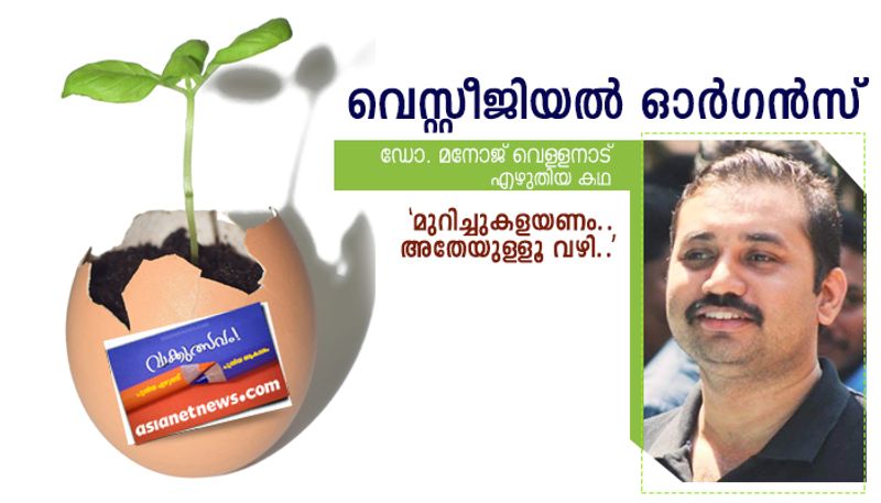 literature festival short story by Dr Manoj Vellanad