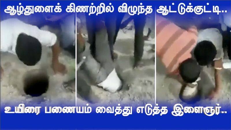 The Lamb who fell into the deep well .. The young men who risked their lives ..! viral Video