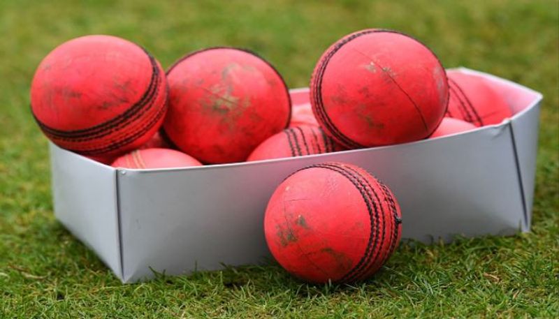 India vs bangladesh cricket bcci use 72 pink ball for day and night test