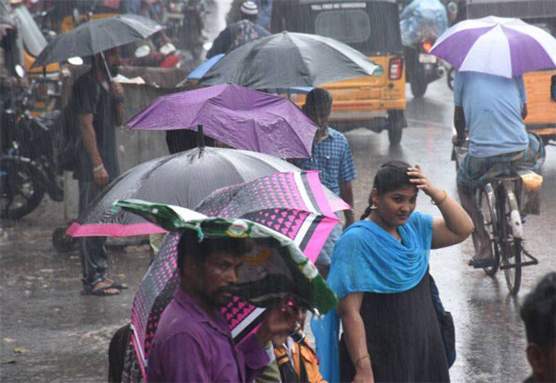 bus driver used umbrella while driving as it rained and leaked inside the bus