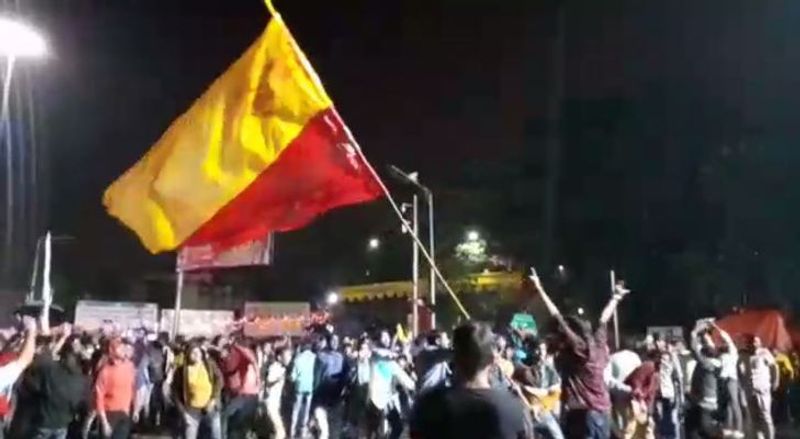 Belagavi Kannada Flag