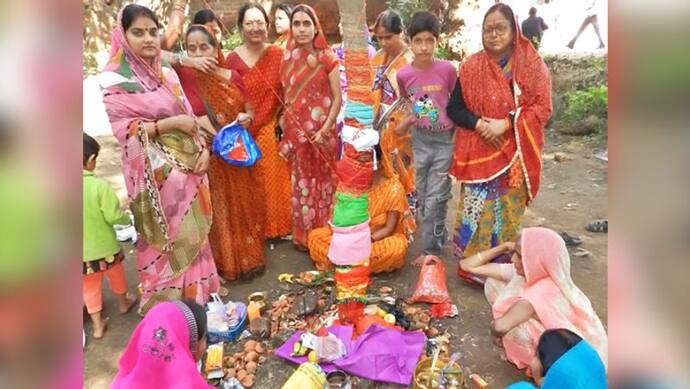 अक्षय नवमी आज: इस दिन आंवले के पेड़ के नीचे बैठकर भोजन करने से प्रसन्न होती हैं देवी लक्ष्मी