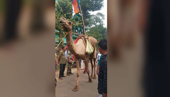 প্রচারের শুরুতেই বিধিভঙ্গের অভিযোগ, খড়গপুরে তৃণমূল প্রার্থীর মিছিলে উট