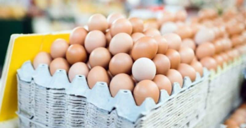 what are the difference between brown and white eggs