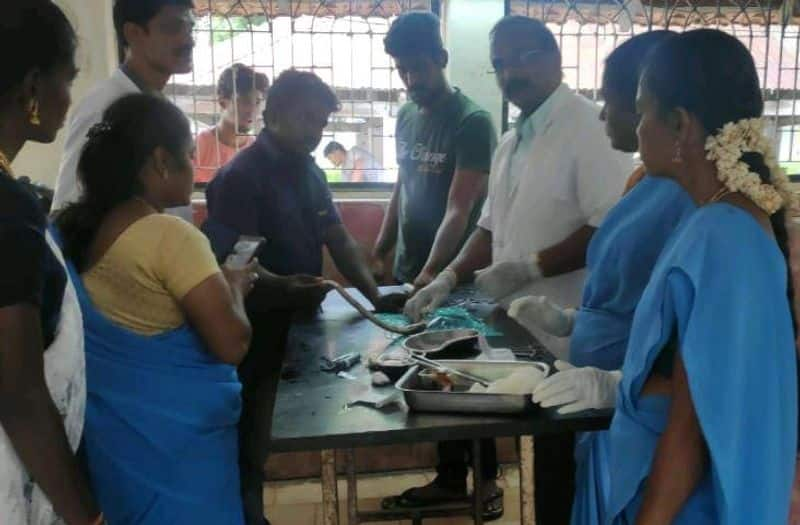 people saved a poisonous snake in madurai