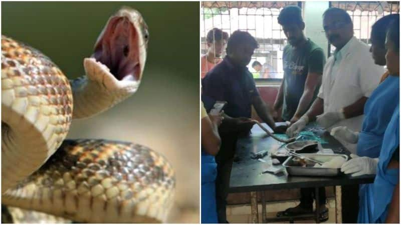 people saved a poisonous snake in madurai