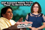 Elephant in the room What has gone wrong for BSP supremo Mayawati