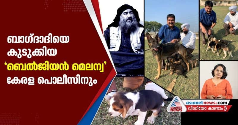 dog breed that chased down Baghdadi to join Kerala Police