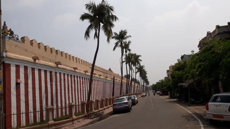 coconut trees in srirangam temple was cut down