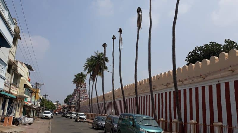 Zahi hussain thrashes srirangam temple