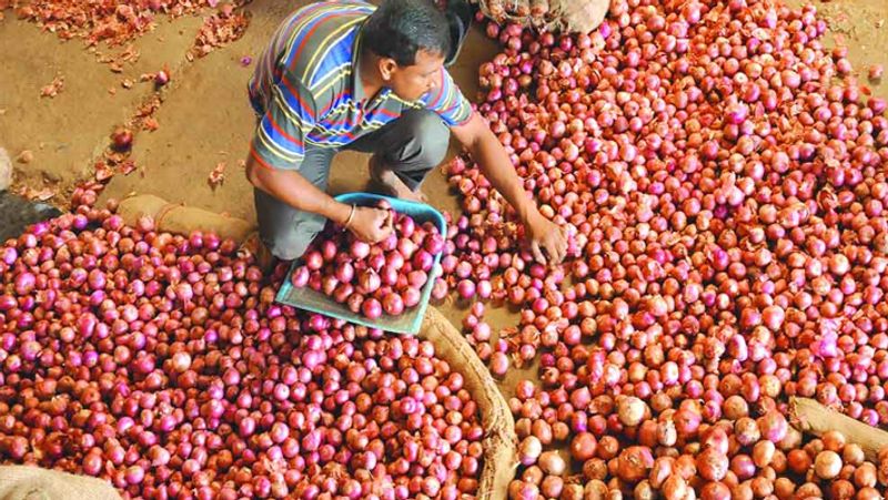 central government plan to increase onion import