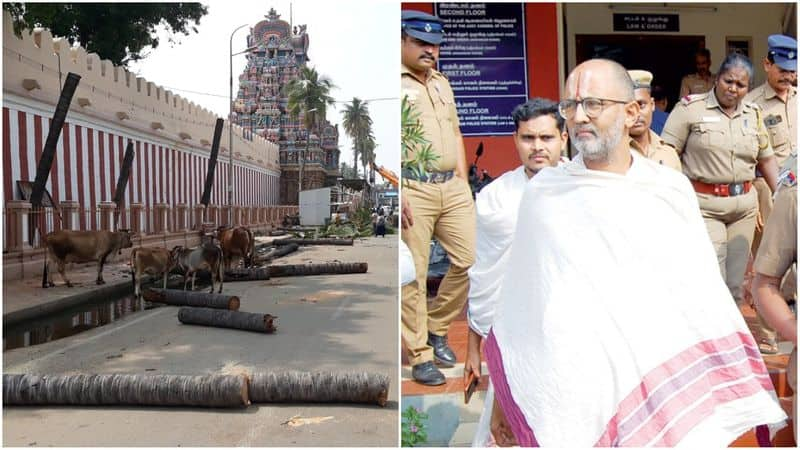 coconut trees in srirangam temple was cut down