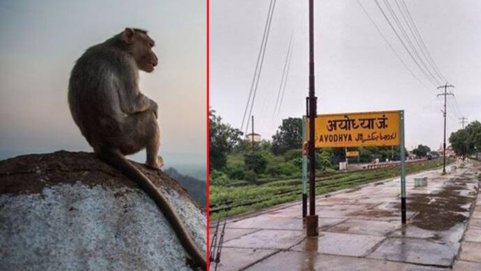 अयोध्या विवाद : वो काला बंदर, जिसे देखते हुए जज ने सुनाया था विवादित इमारत का ताला खोलने का फैसला