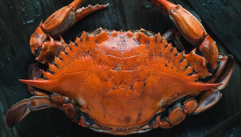 Man bought 1.2 kg crab at a record-breaking price