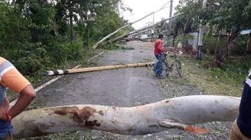 'Bulbul' caused havoc, trees uprooted and storm brought with heavy rain