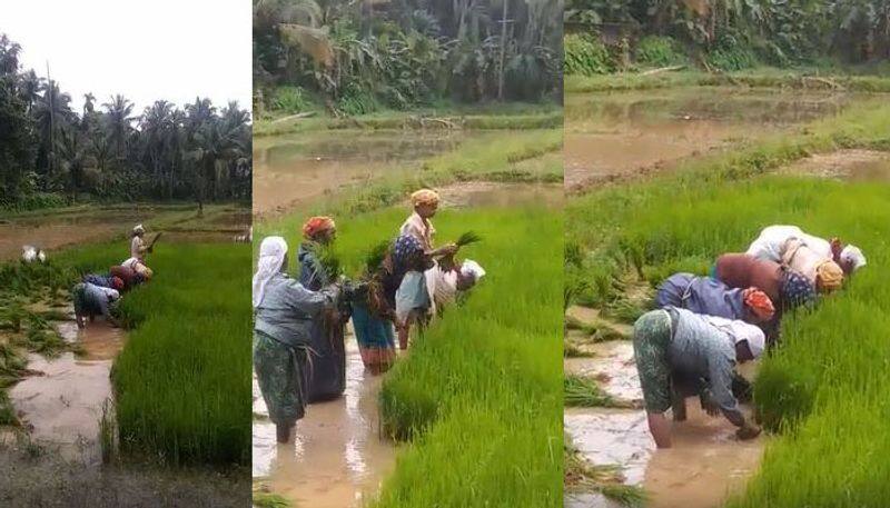 njattupaattu video from nadapuram