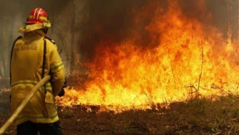 Fire in Seshachalam, kakulakona forest sparks tension - bsb