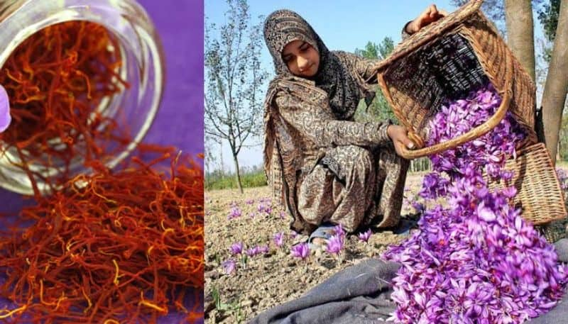 Saffron production in jammu Kashmir increased by 200 percentage