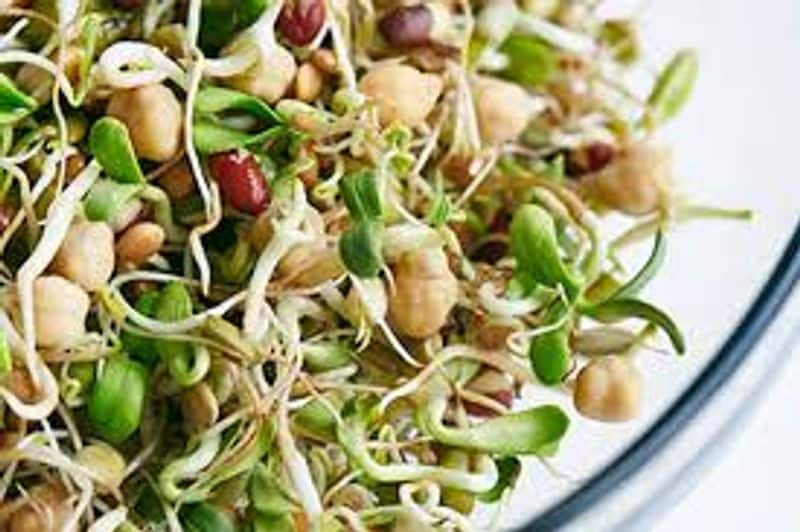 benefits of grain sprouts tamil 