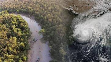 Thanks to Sunderbans, cyclone Bulbul's consequences were mitigated