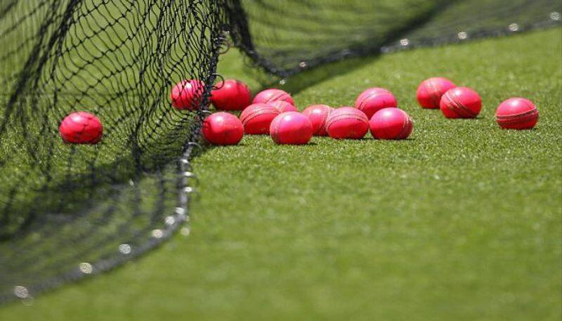 India vs Bangladesh day and night test pink ball specialty