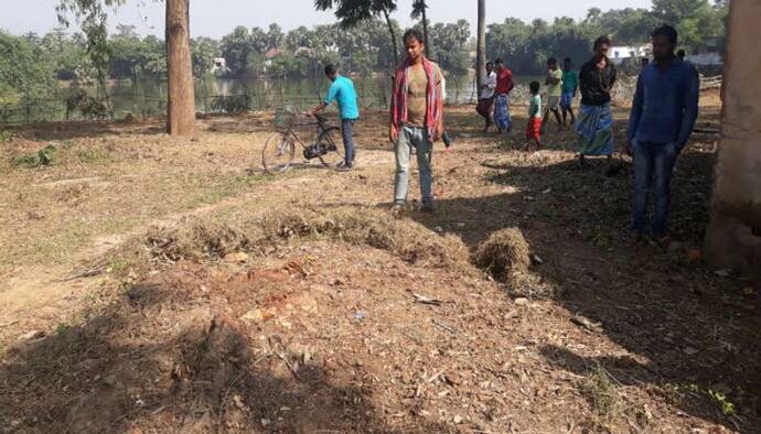 আস্ত গাছ চুরি তৃণমূল নেতাদের, প্রতিবাদে রুখে দাঁড়ালেন গ্রামবাসীরা