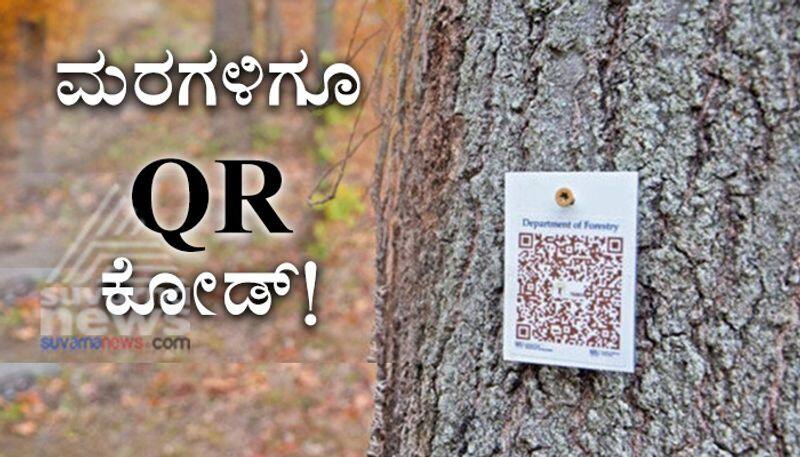 Digital Mode of Learning Trees At Vijayawada College Get QR Codes