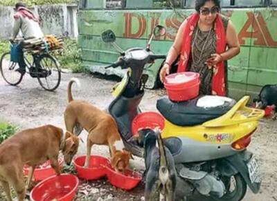 कर्ज लिया, गहने बेचे, ताना भी सुना, गली,गली घूमकर 400 आवारा कुत्तों का पेट भरती है ये महिला