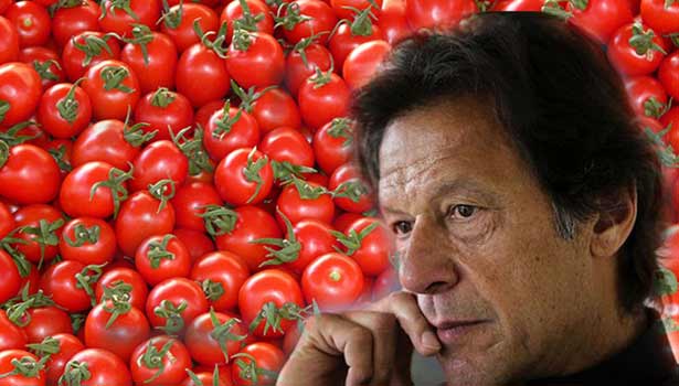 Tomatoes selling at Rs 300 per kg in Pakistan country seeks help from Iran