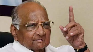 Maharashtra govt formation: Paths of Congress-NCP, BJP-Shiv Sena different, says NCP chief Sharad Pawar