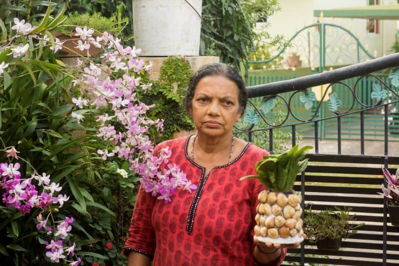 agriculture: kumari from Mysore special story by Nitha sv