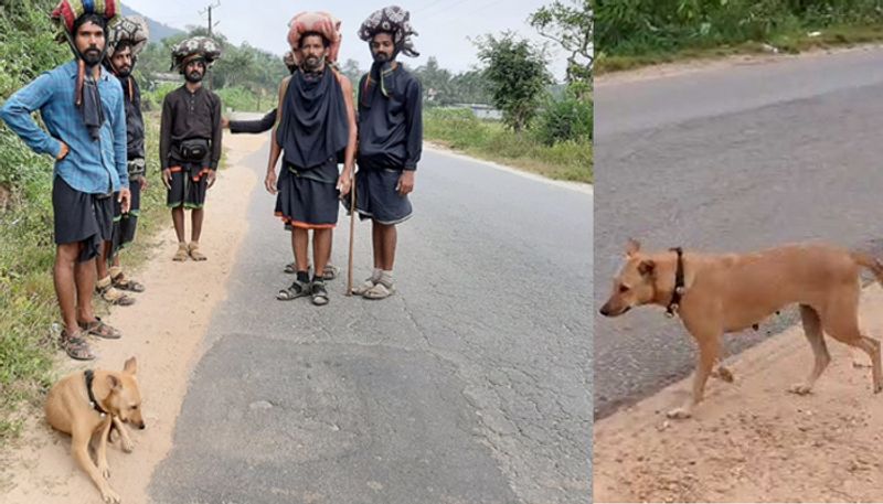 Dog Walking With Ayyappa Devotees from Dakshina Kannada