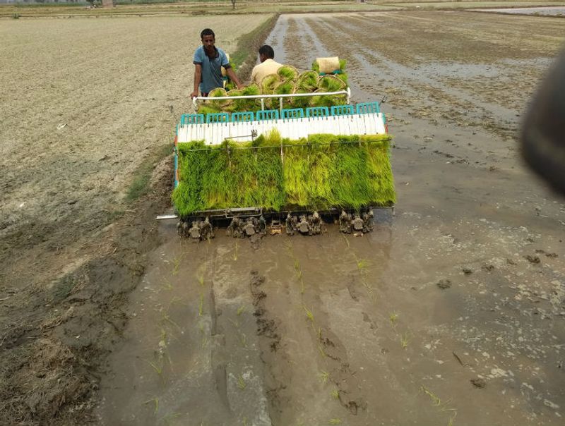 mechanized paddy farming in lowest investment snr