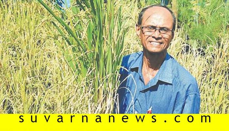 Mangalore farmer grows 50kg gandhasale rice in his terrace